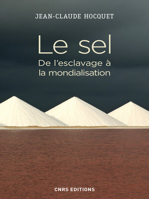 cover image of Le sel. De l'esclavage à la mondialisation